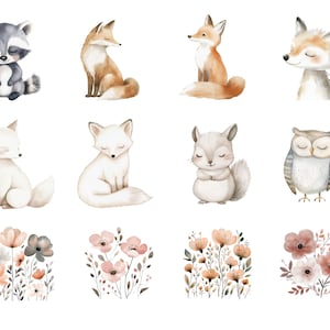 May include: Watercolor illustrations of various woodland animals, including a raccoon, foxes, a squirrel, an owl, and white foxes. The illustrations are surrounded by delicate floral arrangements with pink and brown flowers.