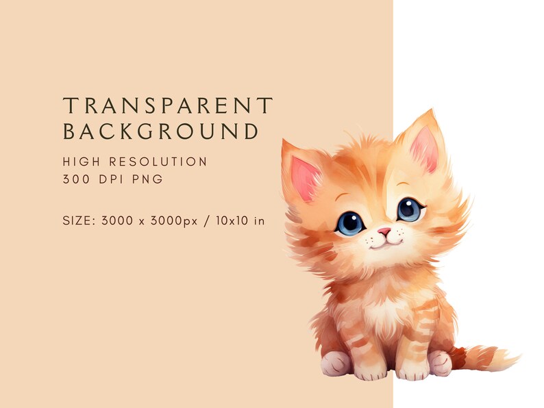 May include: A digital illustration of a cute orange tabby kitten with blue eyes. The kitten is sitting with its paws tucked under its body and looking up at the viewer. The background is transparent.