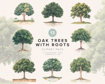 May include: A clipart pack of 13 watercolor illustrations of oak trees with roots. The trees are green and brown with detailed roots. The text "13 OAK TREES WITH ROOTS CLIPART PACK 13 TRANSPARENT PNGS COMMERCIAL USE" is displayed on a light beige background.