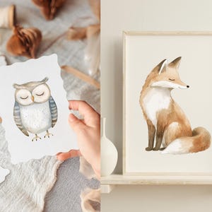 May include: Two watercolor illustrations of woodland animals. The first illustration is of an owl with closed eyes. The second illustration is of a fox sitting with its tail curled around its body.