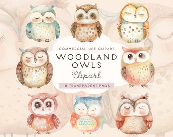 Woodland Owl Clipart | Autumn Png | Woodland Animals Clipart | Forest Animals Clip Art | Owl Png | Scrapbook Paper | Cute Owls | Sleepy Owl