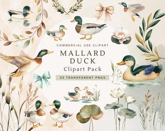 Mallard Duck Clipart | Birthday Party Invitation | For Baby Shower Invite | Boy | Girl | Png | Digital Illustration Bundle | Duck Clip Art