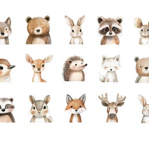 May include: A set of 14 watercolor illustrations of woodland animals, including a wolf, bear, rabbit, raccoon, mouse, bird, deer, hedgehog, fox, reindeer, and squirrel. The animals are all depicted in a cute and whimsical style.