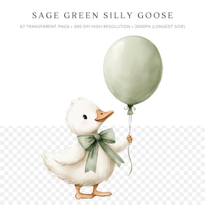 Puede incluir: Ilustraci&oacute;n en acuarela de un ganso blanco sosteniendo un globo verde salvia. El ganso tiene una pajarita a juego y un pico y patas de color naranja claro. El texto "SAGE GREEN SILLY GOOSE" est&aacute; en la parte superior de la imagen.