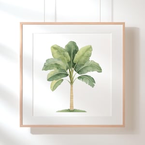 May include: A watercolor painting of a green banana tree with a white background. The tree is in a simple wooden frame.