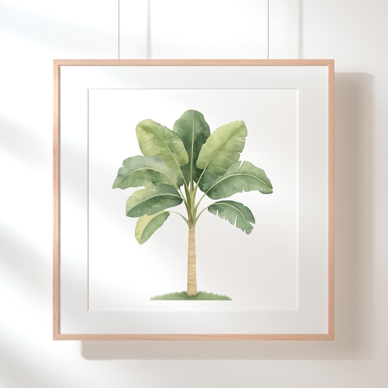 May include: A watercolor painting of a green banana tree with a white background. The tree is in a simple wooden frame.