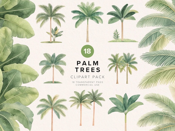 Palm Tree Watercolor Clipart Bundle | Boho Clip Art | Summer Beach Graphic | Holiday | Tropical Island PNG | Scrapbooking | Digital Download