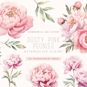 Clipart di peonie rosa antico / Collezione di acquerelli / Pacchetto PNG trasparente / Fiori da matrimonio / Clip art digitale / Peonia / Uso commerciale