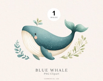 Clipart de ballena de acuarela / Ballena azul / Lindos animales del océano PNG / Descarga digital para decoración de guardería / Arte de vida marina / Uso comercial