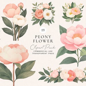 Peony Clipart | Blush Peony | Floral Elements | DIY Wedding Graphics | Clip Art | Perfect for Invitations | Instant Download | Scrapbooking