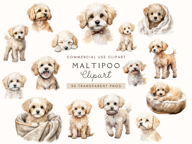 Maltipoo Clipart | Watercolor Bundle | Dog Portrait | Junk Journal ...