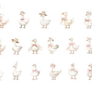 Silly Goose Baby Shower Clipart | Pink Goose With Balloon | Watercolor ...