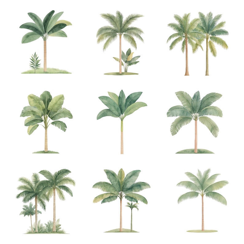 May include: A set of nine watercolor illustrations of palm trees. The illustrations are in a variety of styles, with some trees having more leaves than others. The trees are all green and have a white background.