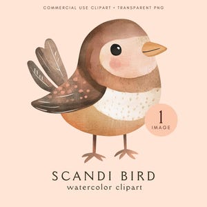 Imágenes prediseñadas de aves escandinavas / Imágenes prediseñadas de aves bohemias lindas en acuarela / Descarga digital / Png de alta calidad / Imprimible / Diario basura / Ilustración