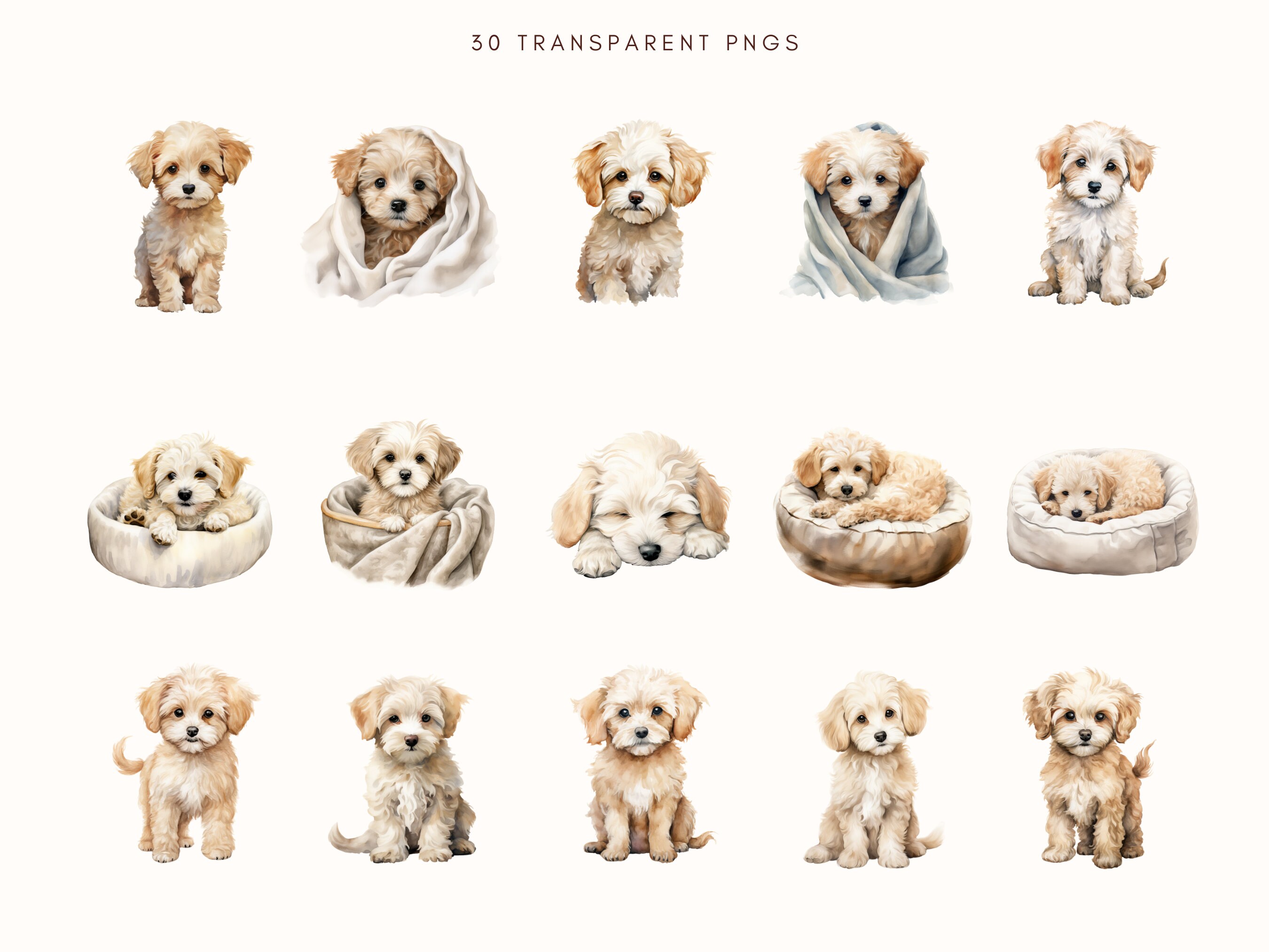 Maltipoo Clipart | Watercolor Bundle | Dog Portrait | Junk Journal ...