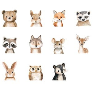 May include: A set of 10 watercolor illustrations of woodland animals, including a bear, rabbit, fox, raccoon, wolf, mouse, deer, owl, and a skunk. The animals are all facing forward and have a cute, cartoonish style.