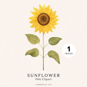 Sunflower Clipart Pack | Digital Download for Crafts | Floral Art for Card Making | Scrapbooking | Transparent Background | Spring Flower