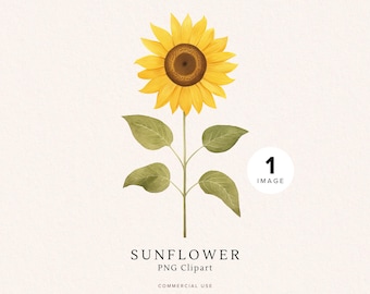Paquete de imágenes prediseñadas de girasoles / Descarga digital para manualidades / Arte floral para hacer tarjetas / Scrapbooking / Fondo transparente / Flor de primavera