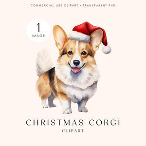Weihnachten Corgis Clipart mit Weihnachtsmütze | Niedliches Tier | Festliche Corgis Hund Clipart | Transparentes PNG | Digitales Scrapbooking Kommerzielle Nutzung