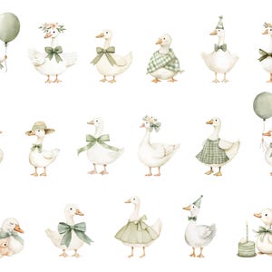 Puede incluir: Ilustraciones en acuarela de gansos blancos con varios accesorios. Algunos gansos llevan lazos, sombreros o vestidos verdes. Un ganso sostiene un globo verde, y otro est&aacute; junto a un peque&ntilde;o pastel con velas. El tema general es caprichoso y encantador.