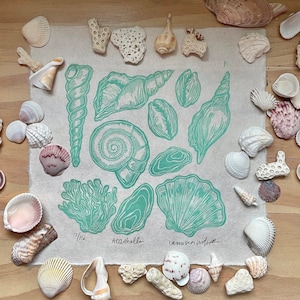 May include: A beige fabric with a green print of various seashells and a coral. The fabric has the words "Seashells" and "Laminaria digitata" written on it. The fabric is surrounded by a variety of seashells in various colors and shapes.