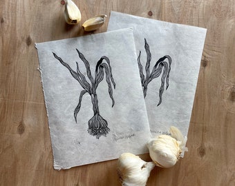 Garlic - Handcarved Limited Edition Blockprint on Mulberry Paper in Black - Block Print