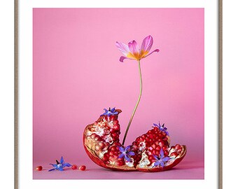 A4 Botanical fine art giclée print, contemporary floral photography, modern wall art, Still Life with pomegranate borage & tulip (unframed)