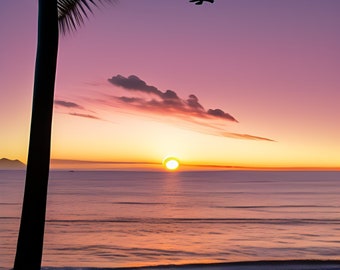 May include: A silhouette of a palm tree on a beach with a pink and orange sunset over the ocean. A small airplane flies in the distance.