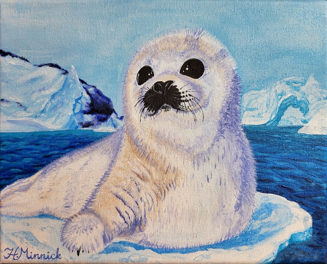 Original Baby Seal Acrylic Painting Etsy original-baby-seal-acrylic-painting-etsy