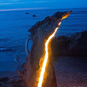 bois, léger, rustique, fait main, unique, art, incroyable, naturel, lumière chaude, lampadaire, clair de lune, lumière LED, grande lampe, image 5