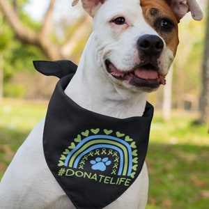 May include: A white and brown dog wearing a black bandana with a rainbow design and the text "#DONATELIFE". The rainbow includes blue and green accents, ribbons, and a paw print. The dog is outdoors in a park setting.