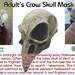 see more listings in the Mask section