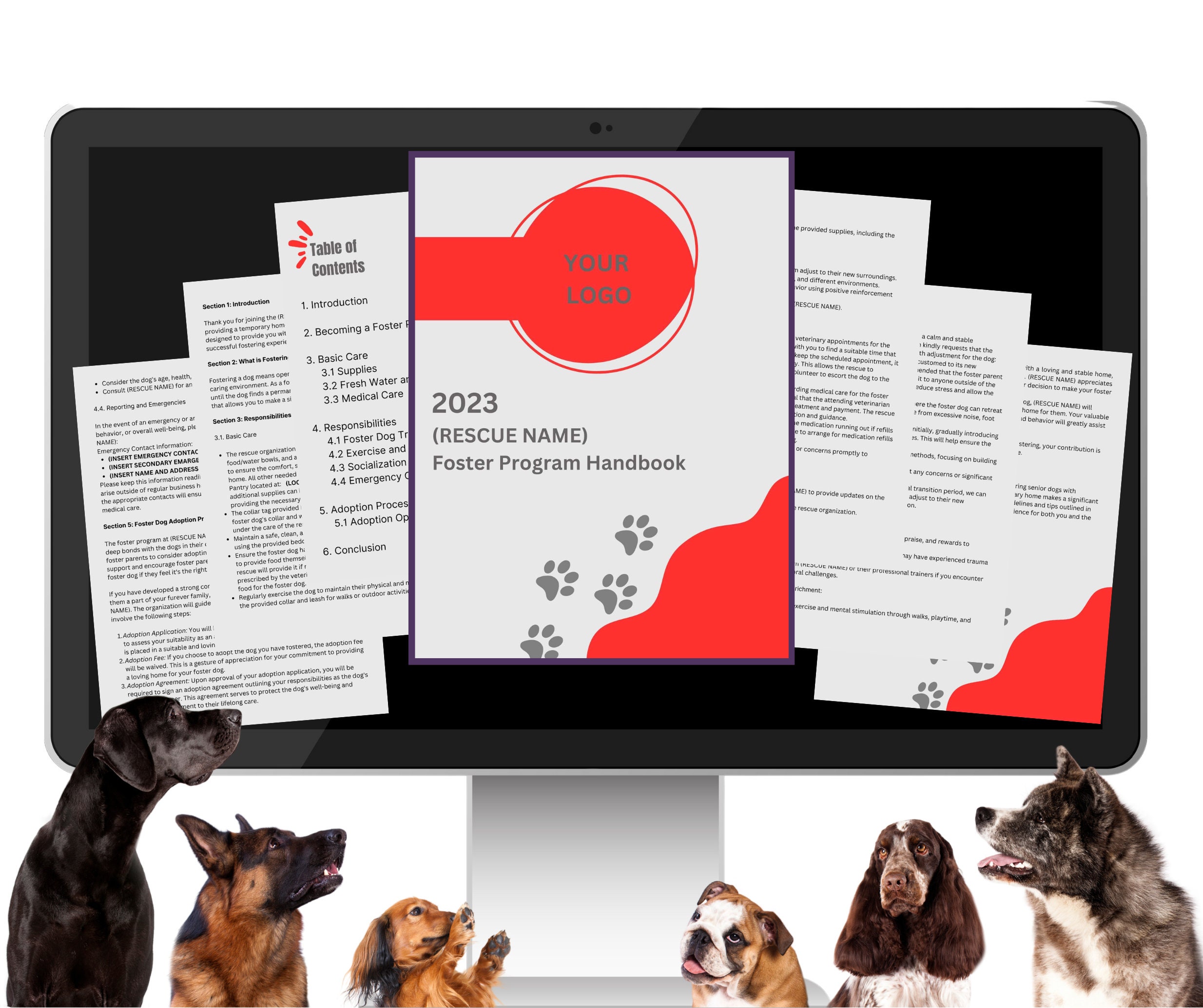 How Do I Become A Foster Carer For My Dog