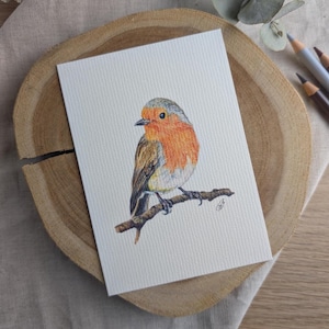 Postkarte Rotkehlchen | Illustration | Vogelkarte | Grußkarte mit Rotkehlchen | Glückwunschkarte Singvogel