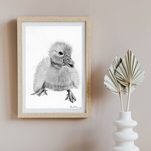 Duckling Hand Drawn Print