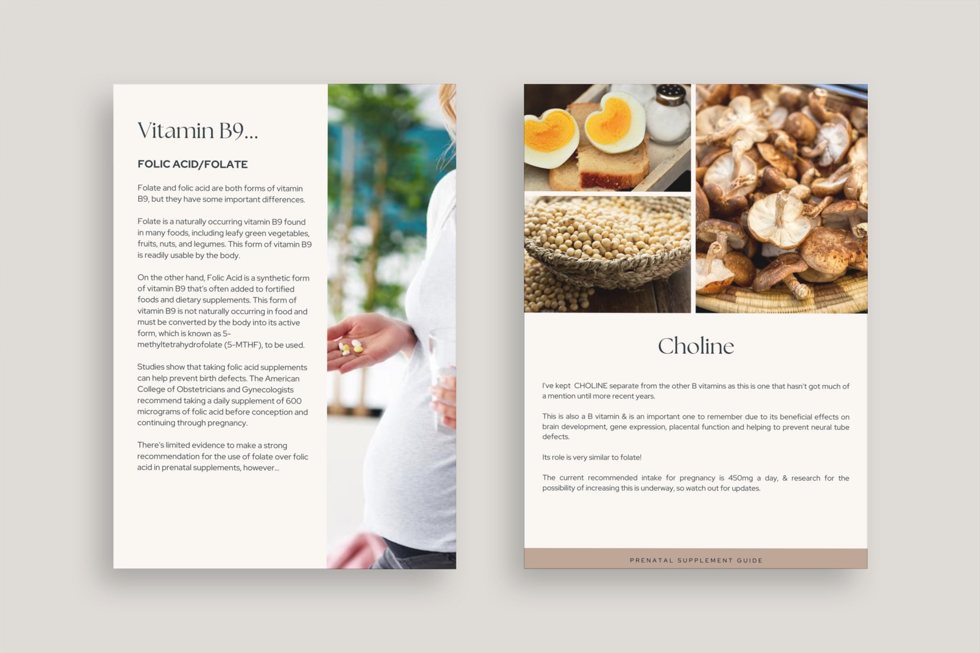 Prenatal Vitamins Handout, Prenatal Supplements Guide, Business ...