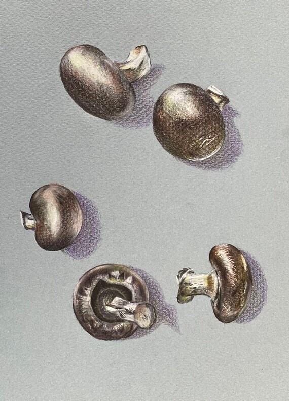Button Mushroom Drawing