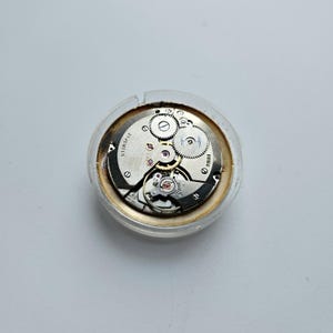 Może przedstawiać: Zbliżenie mechanizmu zegarka, ukazujące skomplikowane koła zębate, kamienie i elementy mechaniczne. Mechanizm zegarka umieszczony jest w przezroczystej, okrągłej obudowie. Tekst "21 JEWELS" jest widoczny na mechanizmie.