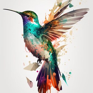 Colibri Artwork para impresion digital 20x30