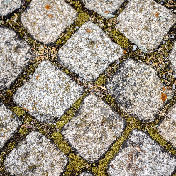 Playful Pathways: Square Cobblestones and Mossy Delights. Digital posters.