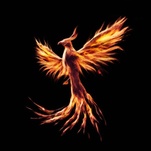 Inferno Rebirth. Fiery Phoenix: Symbol of Rebirth. Digital posters.