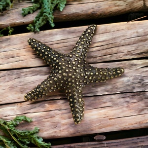 Brass Starfish Decor 