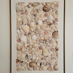 Muschelbild auf Leinwand 36x24 mit Schattenfugenrahmen.