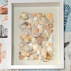 May include: A framed artwork featuring a collection of various seashells in shades of beige, cream, and brown. The shells are arranged on a light background within a white frame, creating a coastal theme.