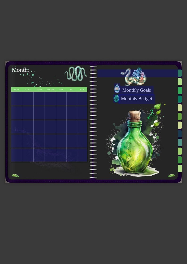 May include: A black and green planner with a monthly calendar, a snake illustration, and a green glass bottle with a cork stopper. The planner has sections for monthly goals and a monthly budget.