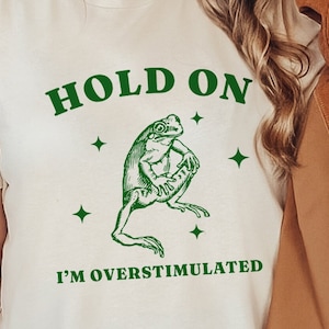 May include: White t-shirt with green text that reads "HOLD ON I'M OVERSTIMULATED". A green cartoon frog is in the center of the shirt.