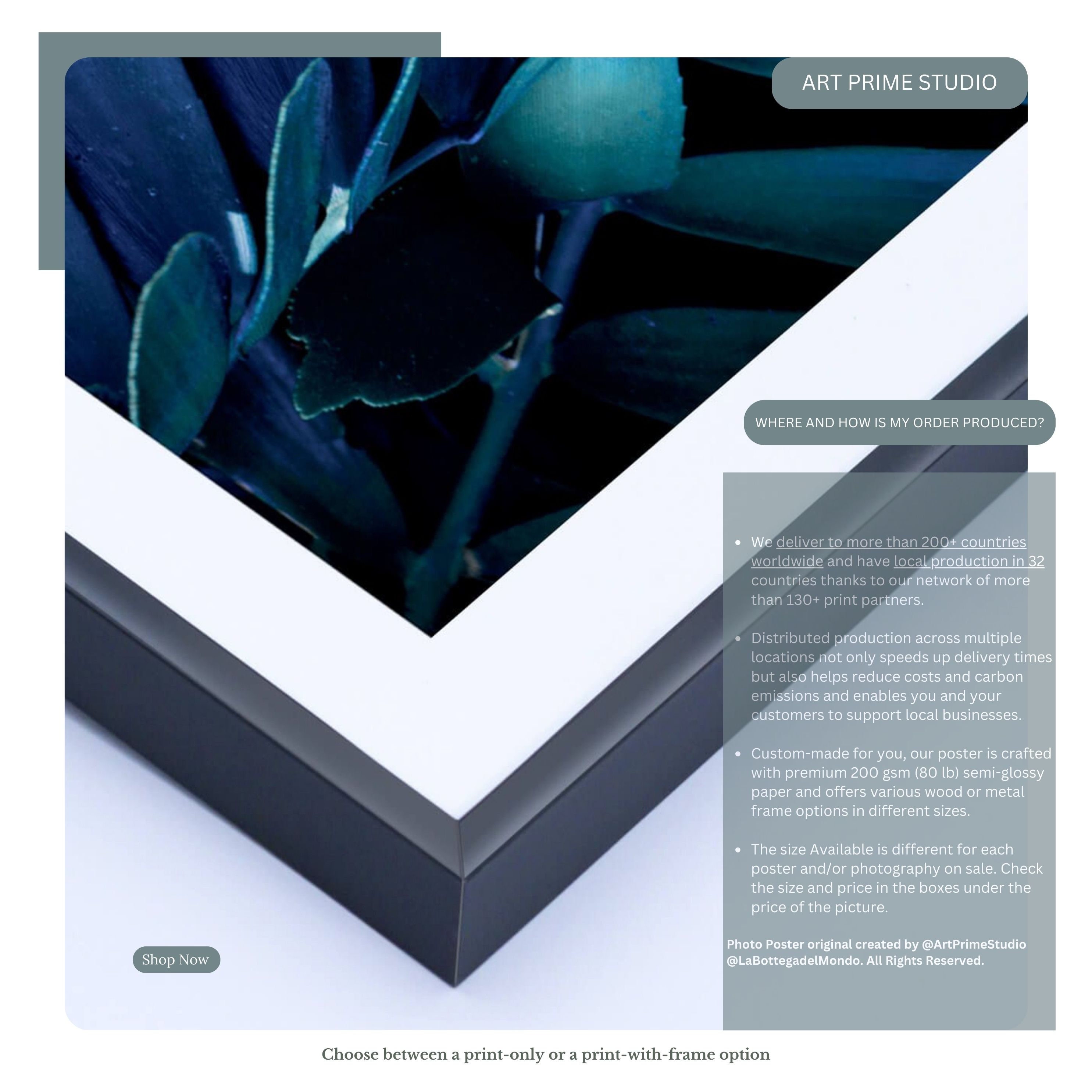 Coyote Quotes Joni Mitchell Hejira Album Cover Music Print Retro Folk