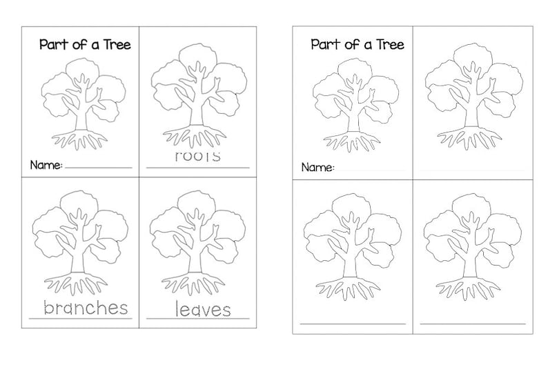 Parts of a Tree Montessori 3partcards Etsy