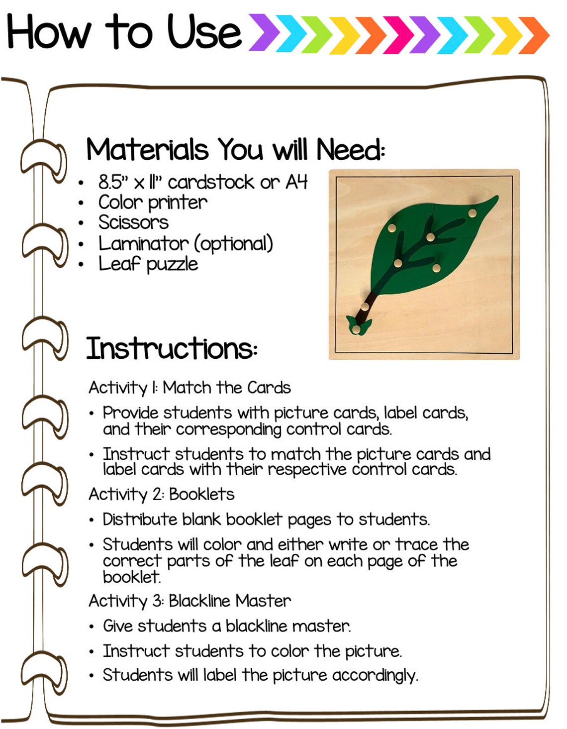 Parts of a Leaf - Montessori 3-part-cards - Etsy Canada