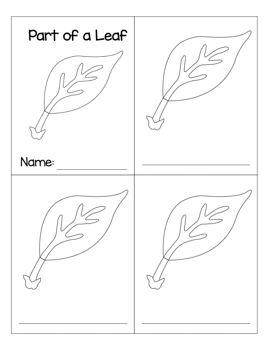 parts-of-a-leaf-montessori-3-part-cards-etsy